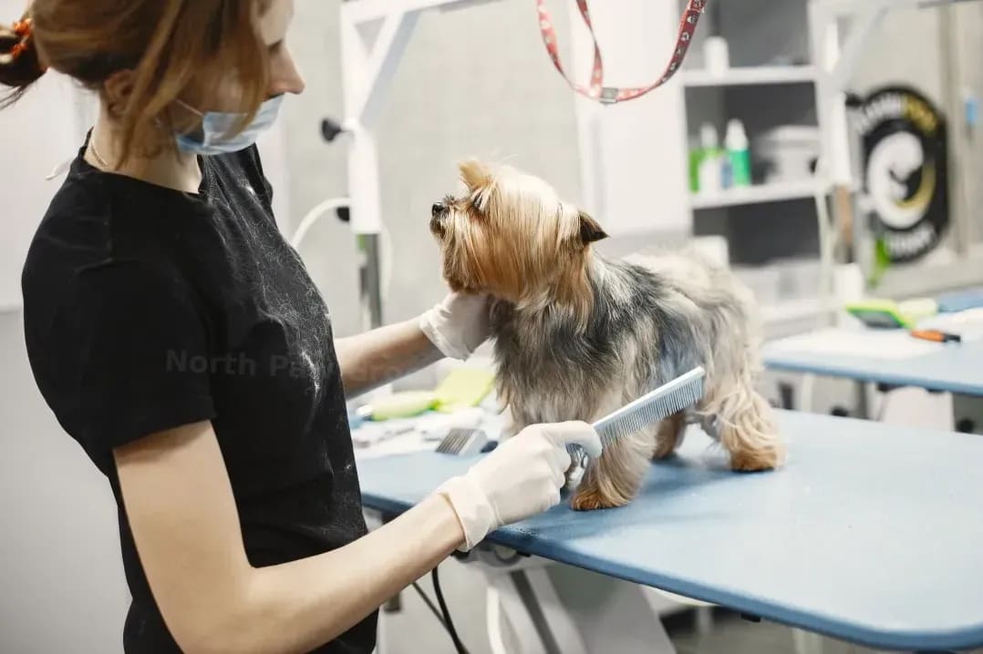 A Simple Brushing Routine That Helps Keep Tangles Down