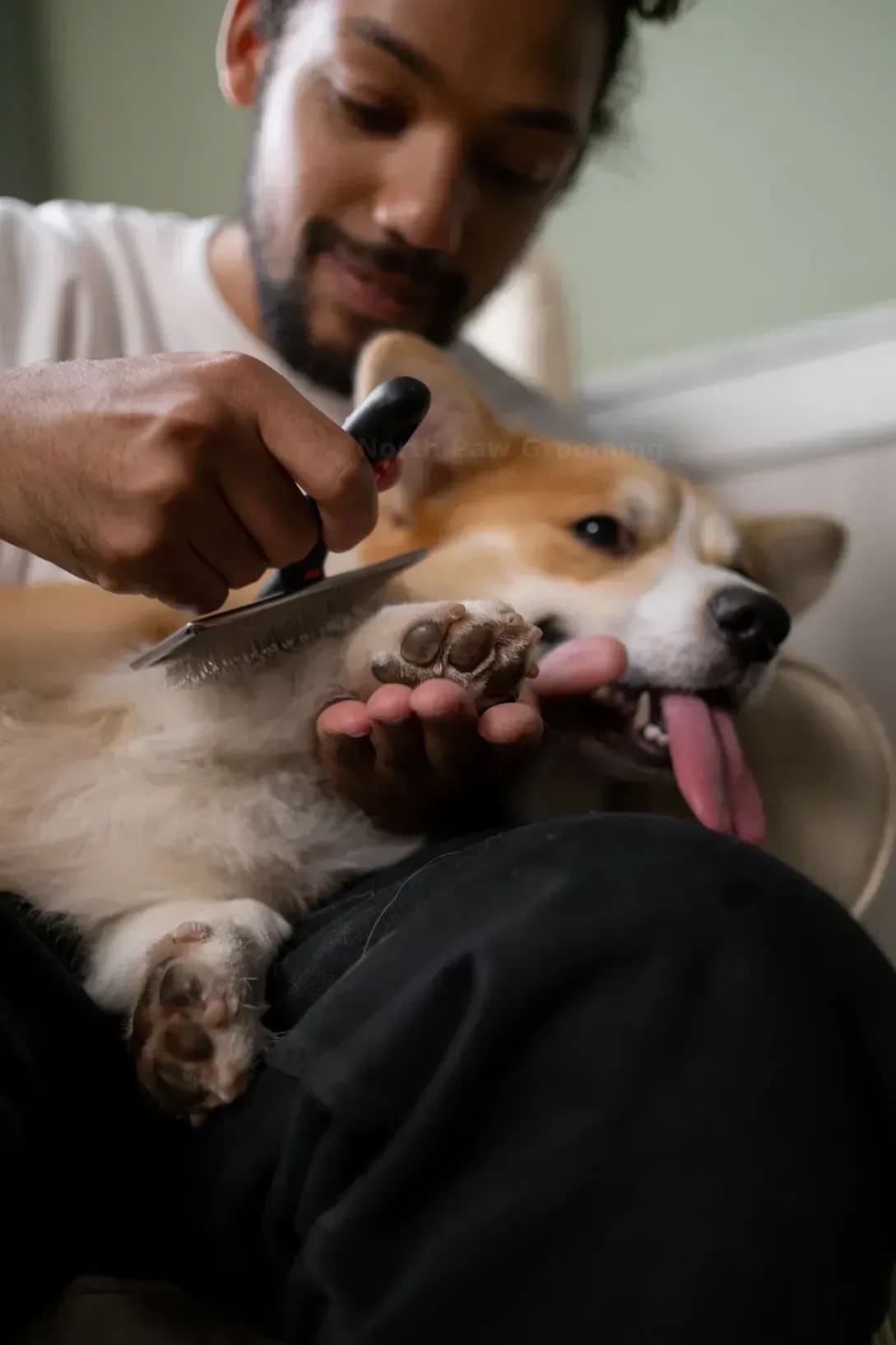 Bath and brush-out